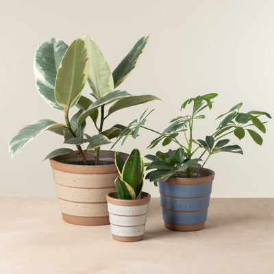 Medium Planter (Fits 4" Nursery Pots)