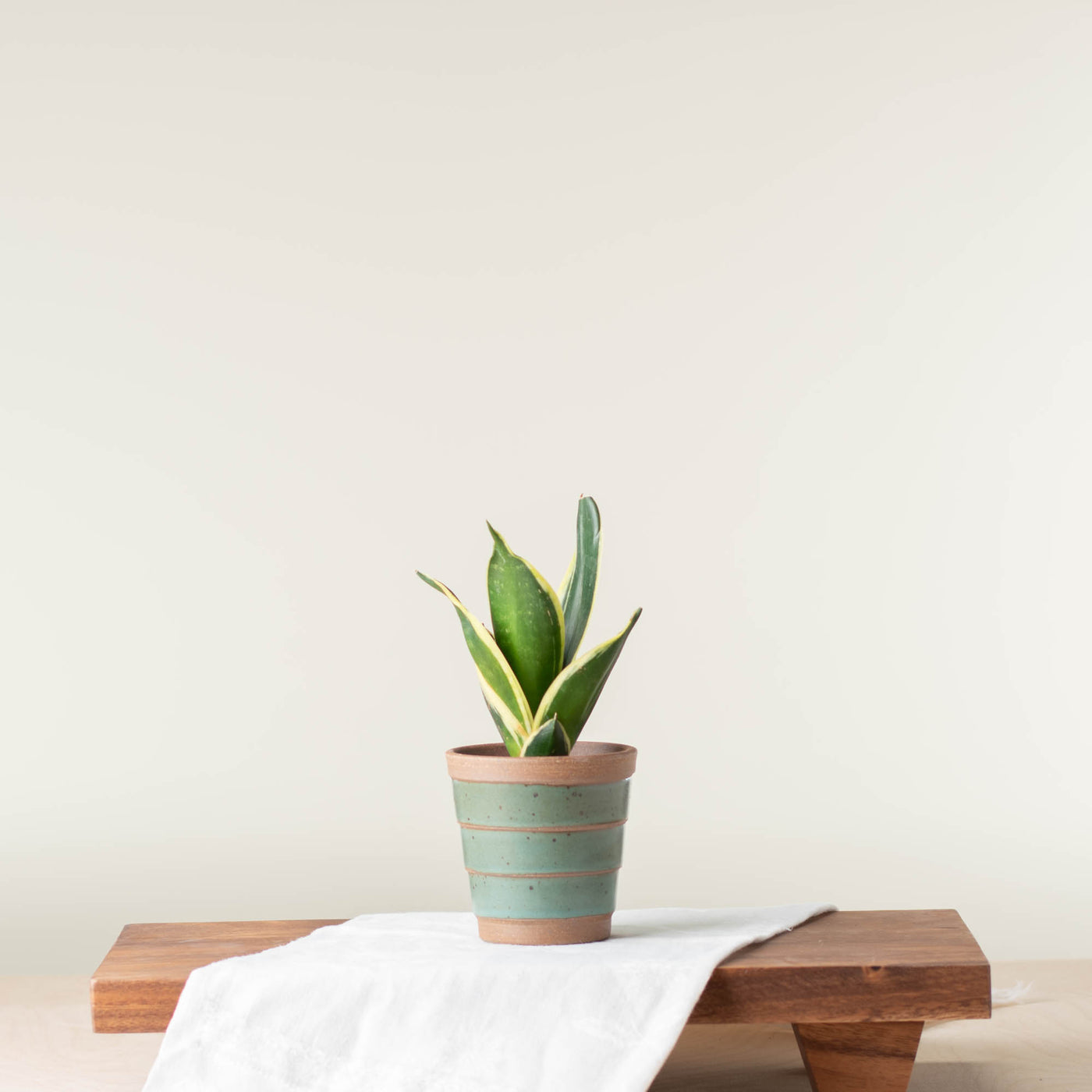 Small Planter (Fits 2-2.5" Nursery Pots)