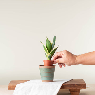 Small Planter (Fits 2-2.5" Nursery Pots)