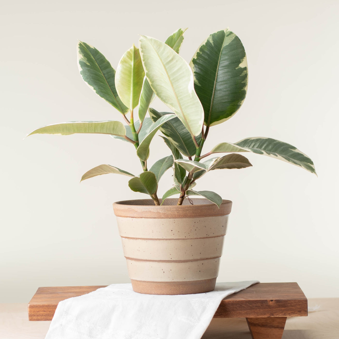 Large Planter (Fits 5" Nursery Pots)