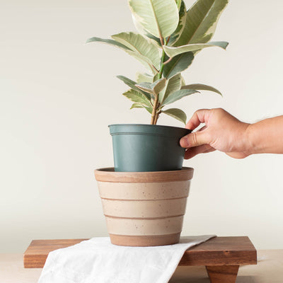 Large Planter (Fits 5" Nursery Pots)
